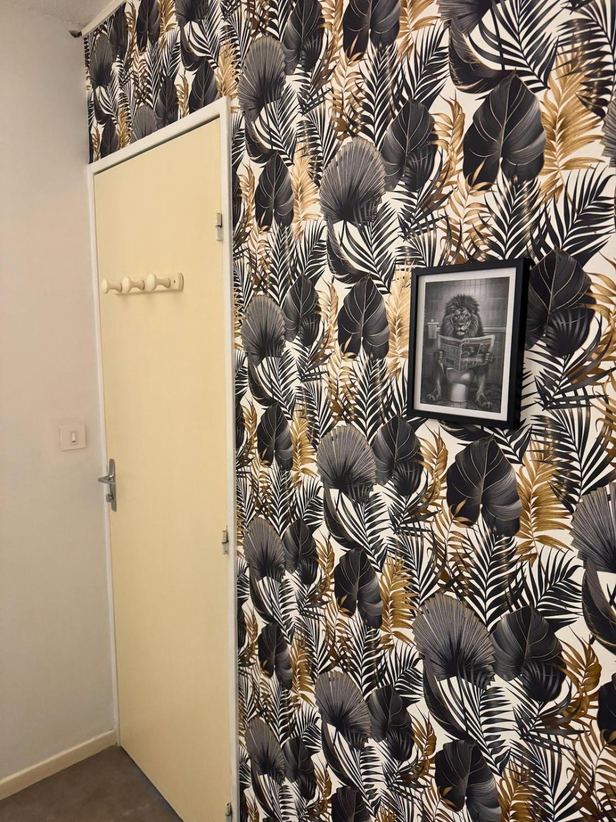 Majestic - Wifi - Parking - Vue Apartment Dax Bagian luar foto